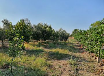 albania/has/attraction/kodra-farm