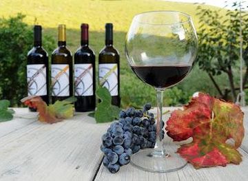 greece/zakynthos/attraction/goumas-estate-winery-art-wine