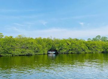 sri-lanka/unawatuna/attraction/madu-queen-boat-safari-madu-ganga-boat-safari