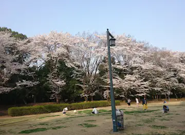 Shiroyama Park
