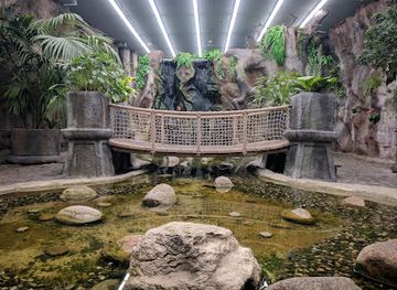 czechia/prague/nove-mesto/attraction/butterfly-house