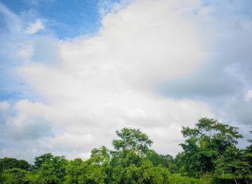 nepal/chitwan-national-park/attraction/dhurba