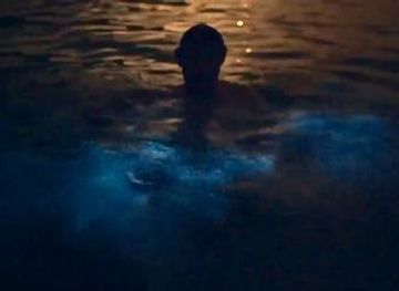 puerto-rico/caguas/attraction/borikua-tours