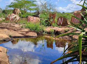 mexico/yucatan-peninsula/attraction/ecoturistico-kaalmankal-tekax-park