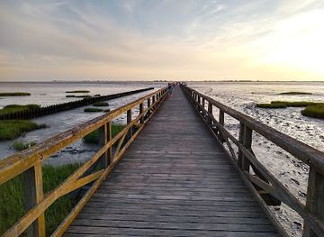 germany/north-frisia/attraction/seebrucke-schobull