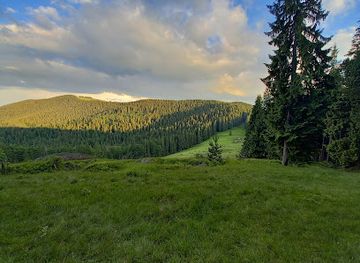 ukraine/hoverla-mountain/attraction/polonyna-bukovynka