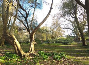 uruguay/maldonado/attraction/paseo-de-la-aguada