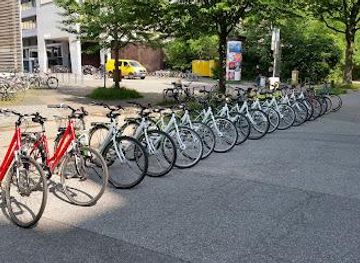 germany/hamburg/attraction/fahrradtour-hamburg