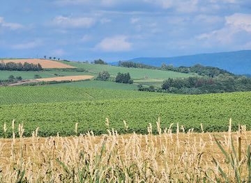japan/hokkaido/attraction/patchwork-road-biei