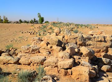 jordan/shawmari-wildlife-reserve/attraction/qasr-alqastal