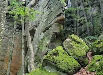 luxembourg/mullerthal/attraction/rammerlay-belle-vue