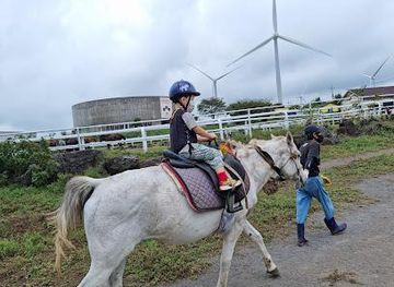 south-korea/jeju-city/attraction/jeju-horse-park