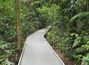 australia/port-douglas/attraction/madja-boardwalk