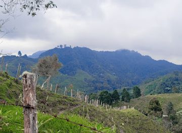 colombia/manizales/attraction/reserva-ecologica-rio-blanco