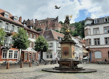 germany/heidelberg/altstadt/attraction/heidelberger-marktplatz