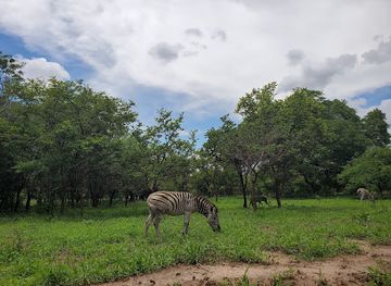 malawi/cape-maclear/attraction/kuti-wildlife-reserve-main-gate