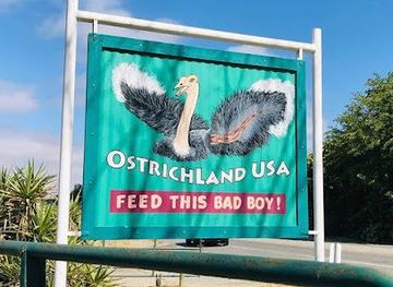 california/santa-barbara/attraction/ostrichland-usa