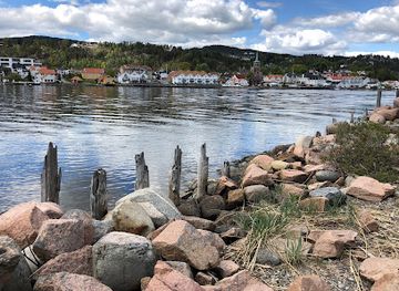 norway/vestfold/attraction/svelvikstrommen