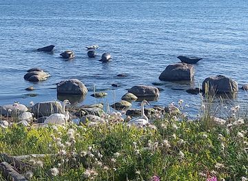 sweden/sarek-national-park/attraction/gotska-sandon-national-park