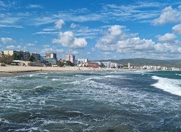 bulgaria/sunny-beach/attraction/bob-the-sunny-beach-cat
