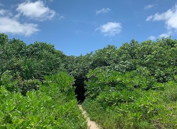 japan/ishigaki-island/attraction/inoda-beach