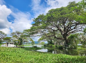 sri-lanka/hambantota-district/attraction/wirawila-tissa-sanctuary
