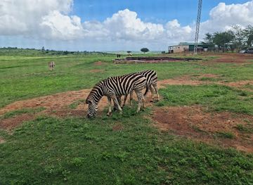 mozambique/matola/attraction/mhm-farms
