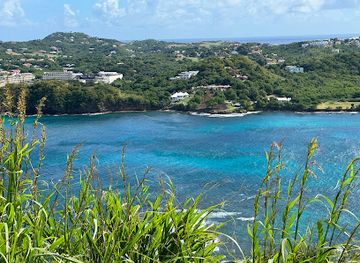 saint-lucia/dauphin/attraction/saint-lucia-national-trust