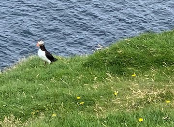 iceland/western-region/attraction/icons-of-iceland