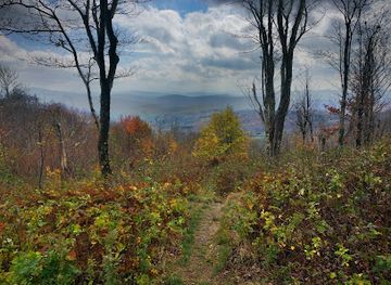 new-york/catskill-mountains/attraction/bramley-mountain