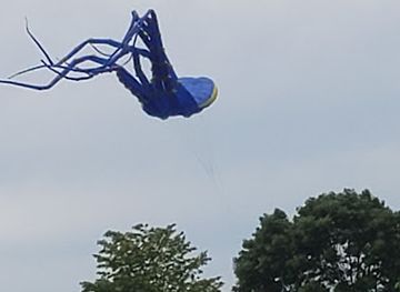 south-dakota/brookings/attraction/mcclemans-park