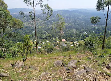 Manga hills