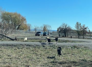 idaho/rexburg/attraction/yellowstone-safari-park