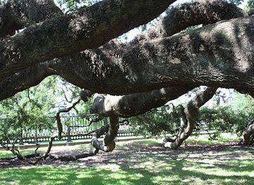 louisiana/atchafalaya-basin/attraction/louisiana-s-old-state-capitol