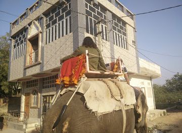 india/rajasthan/attraction/elejungle-nature-elephant-safari-in-jaipur