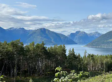 Kvitenjuk