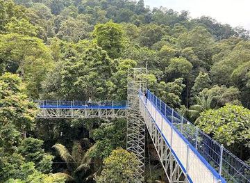 malaysia/kuala-lumpur/attraction/forest-skywalk-frim