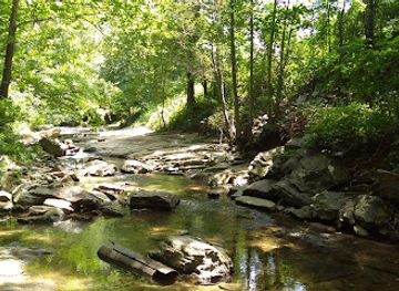 north-carolina/pisgah-national-forest/attraction/asheville-botanical-garden