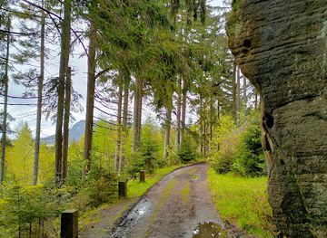 poland/stolowe-mountains/attraction/ptasia-skala