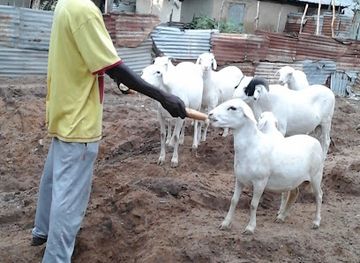 the-gambia/brikama/attraction/sanna-jatta-memorial-park