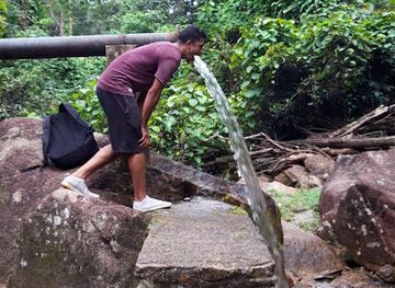 seychelles/cousin-island/attraction/grand-anse-cascade-waterfall