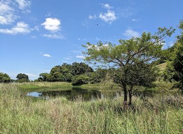 south-africa/highveld/attraction/vryheid-hill-nature-reserve