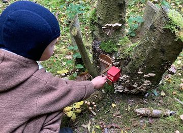 denmark/limfjord/attraction/troldeskoven-fur-skattejagt-for-born-og-fantasifulde-voksne