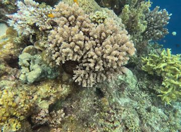 philippines/panglao-island/attraction/napaling-sunset-point