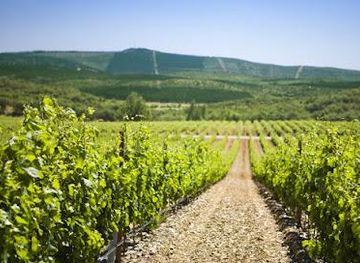 portugal/evora/attraction/quinta-do-carmo