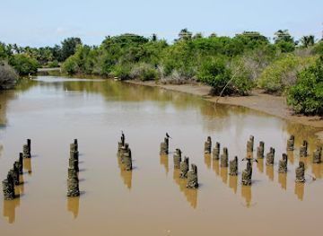 the-gambia/kanifing/attraction/bird-watcher-association