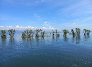 bangladesh/tanguar-haor/attraction/tangua-haor