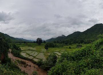 myanmar-burma/lower-myanmar/attraction/green-hill-valley-elephant-camp