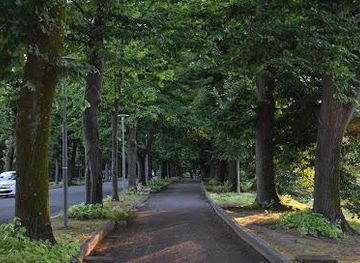italy/lucca/attraction/viale-delle-piagge
