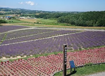 japan/hokkaido/attraction/hinode-park